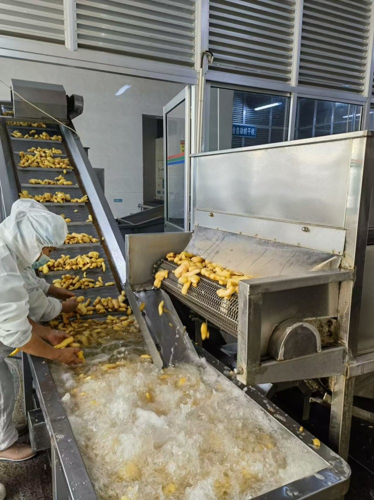 濟(jì)南脫水姜片