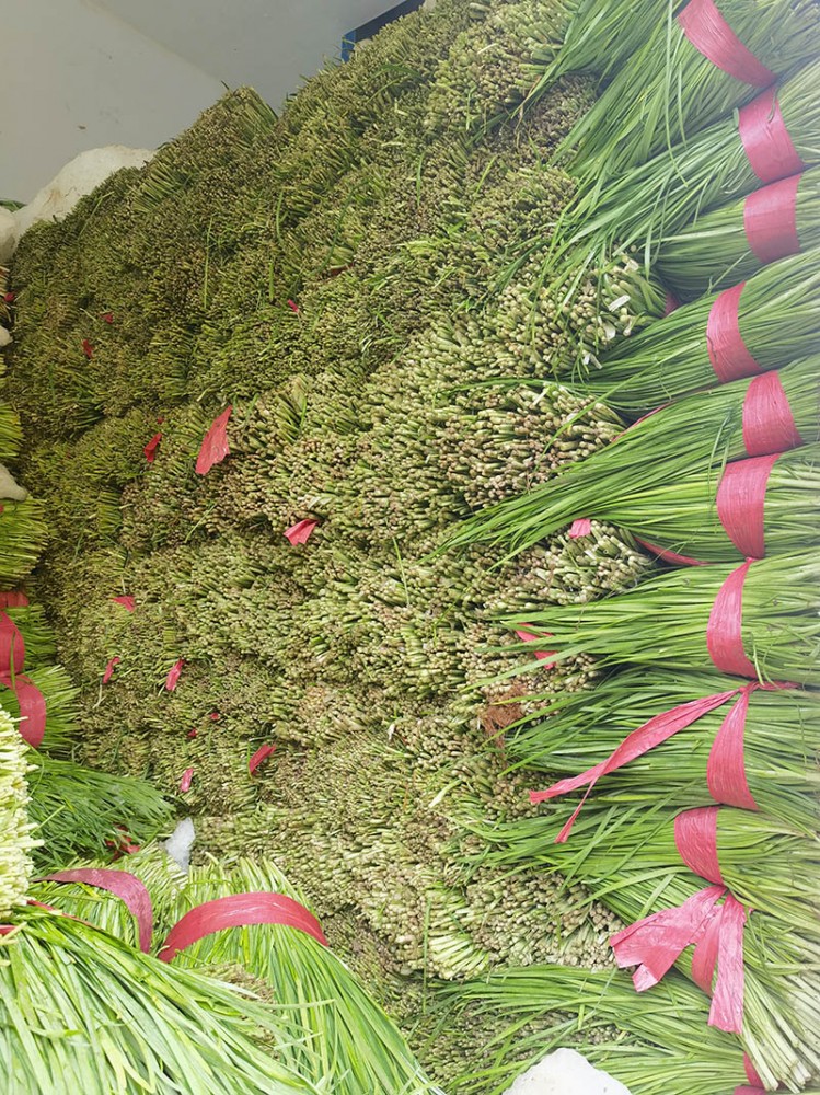 濟(jì)南脫水韭菜系列