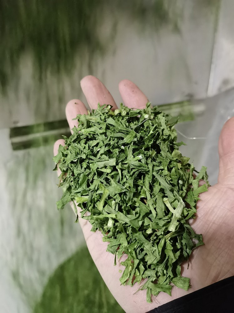 濟(jì)南脫水韭菜系列3