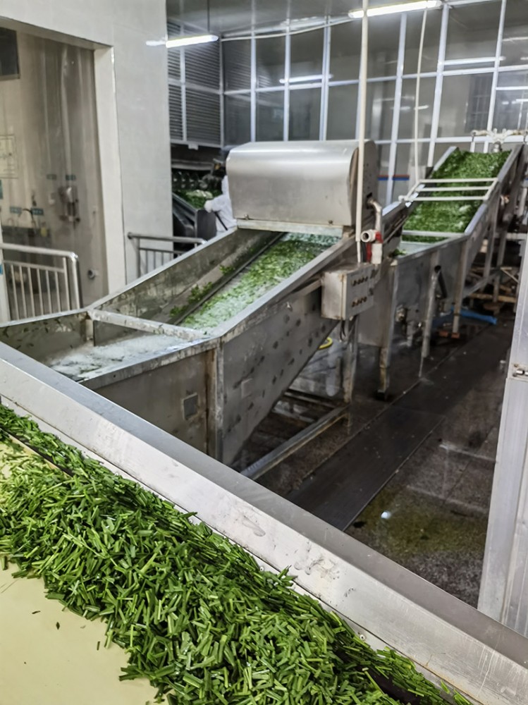 濟(jì)南脫水韭菜系列4