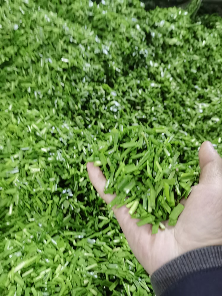 濟(jì)南脫水韭菜系列6