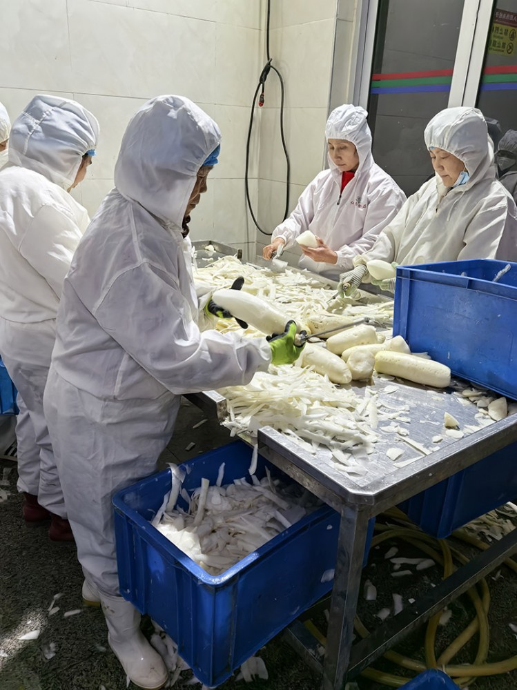 濟南脫水蘿卜系列3