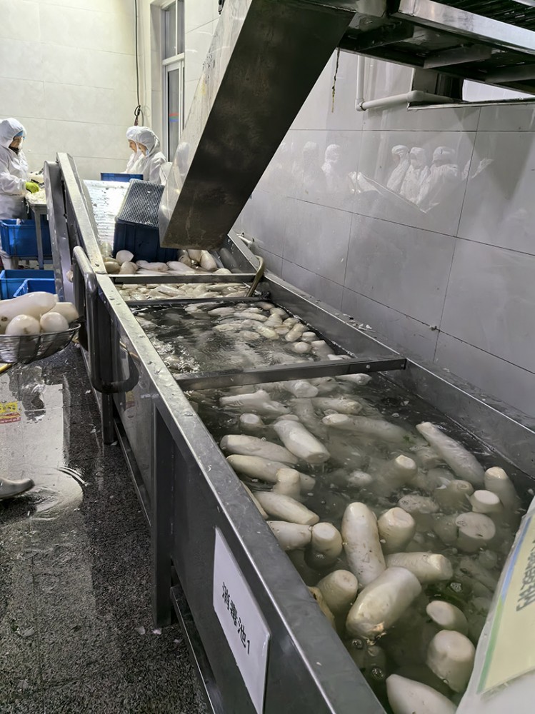 濟南脫水蘿卜系列4