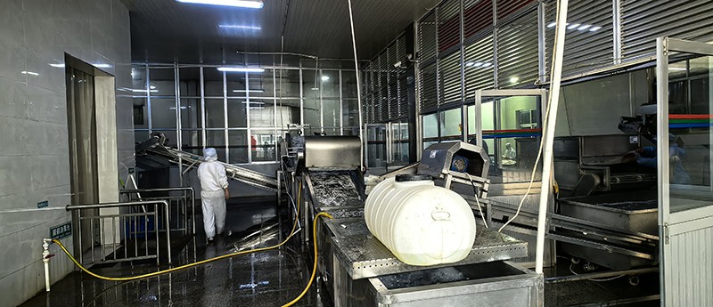 濟南脫水蘿卜系列8