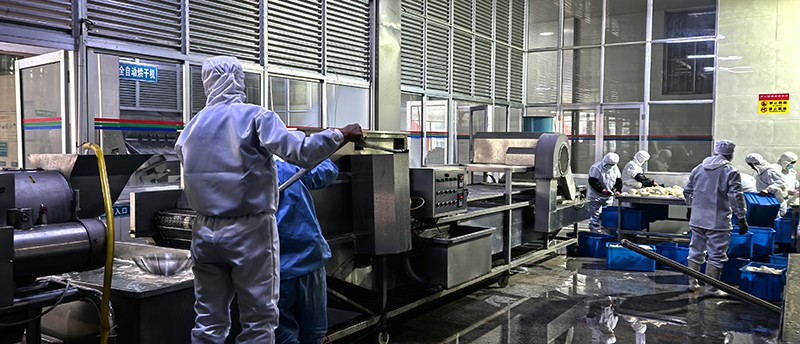 濟南脫水蘿卜系列9